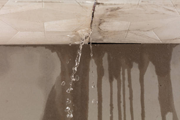Professional Structural Drying technician working in West Lafayette, OH